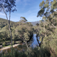 The trails had some nice scenery of course. Thredbo River